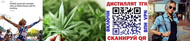 ТГК гашишное масло  OMG ССЫЛКА  Светогорск  купить  цена 