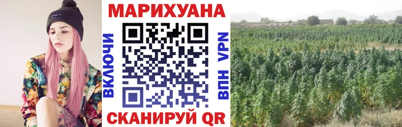 darknet клад  Светогорск  Шишки марихуана Bruce Banner 